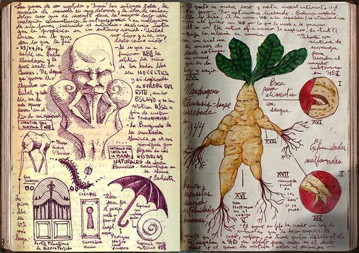 The Lost Notebook of Guillermo Del Toro