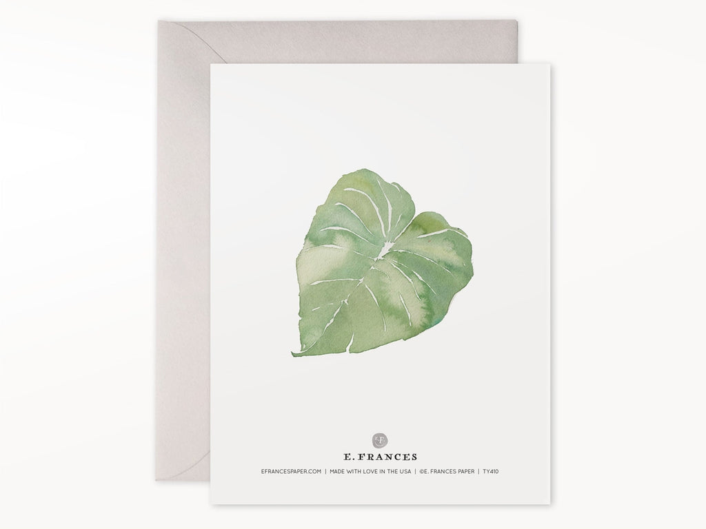 Leaves Thank You Cards Box of 6