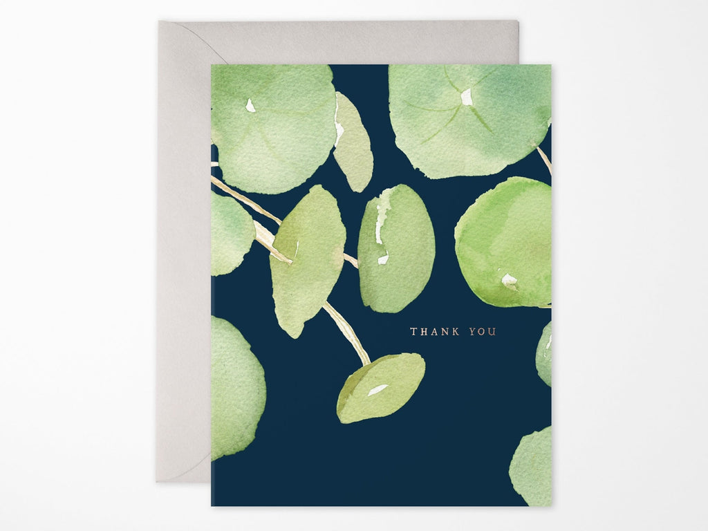 Pancake Plant Thank You Cards Box of 6