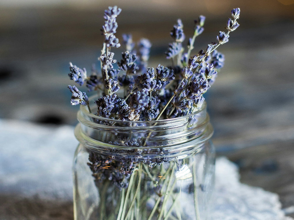 Sailor Pro Gear Slim Fountain Pen - Dried Flowers - Lavender