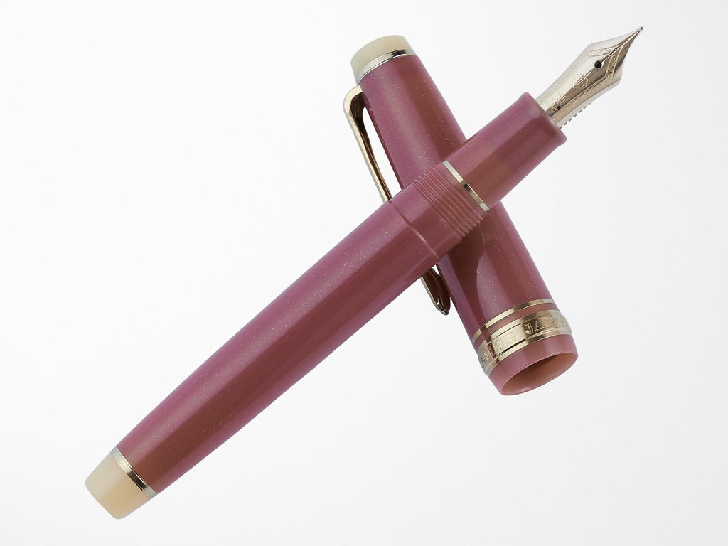 Sailor Pro Gear Slim Fountain Pen - Wagashi Series - Nerikiri